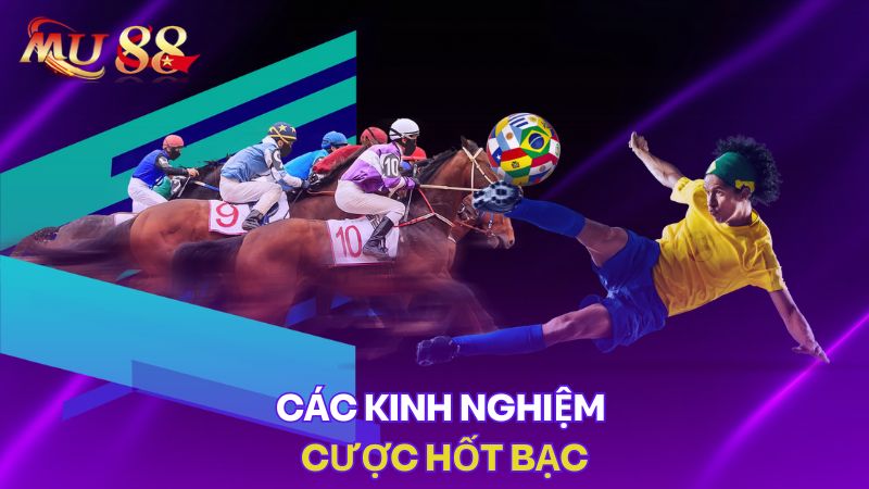 Các kinh nghiệm cược hốt bạc