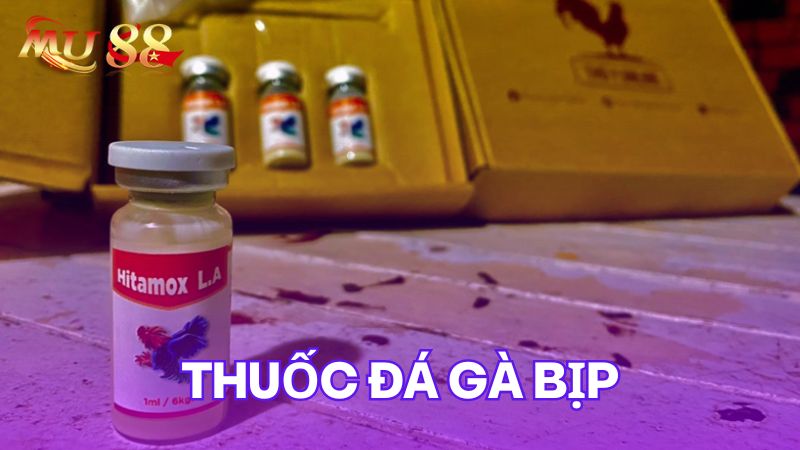 Thông tin thuốc đá gà bịp