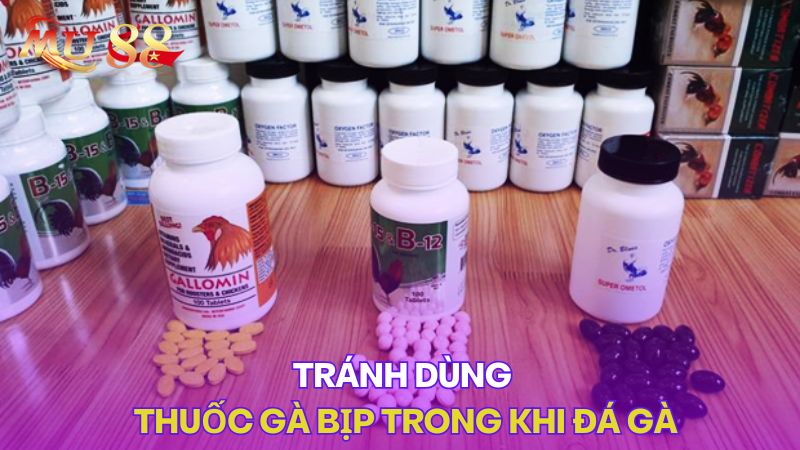 Tránh dùng thuốc gà bịp trong khi đá gà